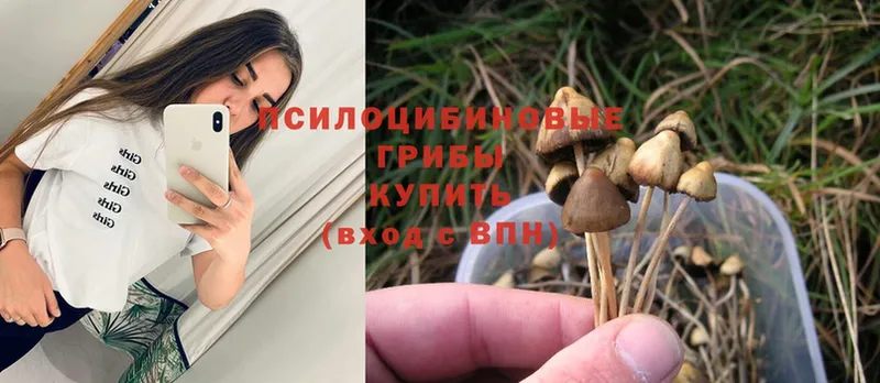 Псилоцибиновые грибы MAGIC MUSHROOMS  Елизово 